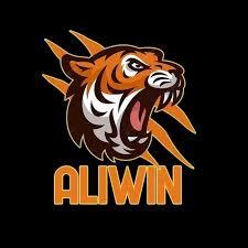 aliwin - Gaming Premium